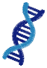 DNA